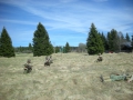 DSCN0300
