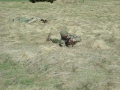 DSCN0303